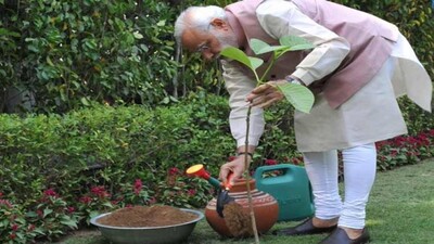 Modi-ji-planting