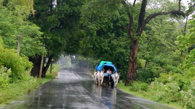 Monsoon