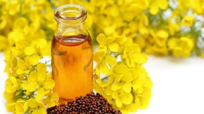 Mustard-OIL