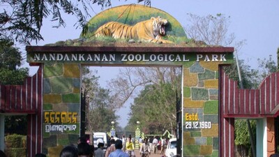 Nandankanan-Zoo