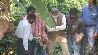 Nayagarh Minor Girl Murder Case