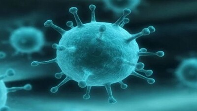 Nipah-Virus