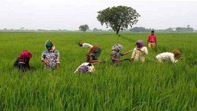 PM-KISAN: Dharmendra Pradhan Urges Odisha CM To Ensure All Registered Farmers Get Benefits