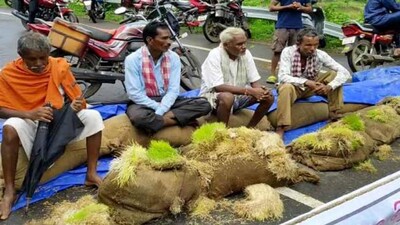 Odisha-rainfall-cold-wave