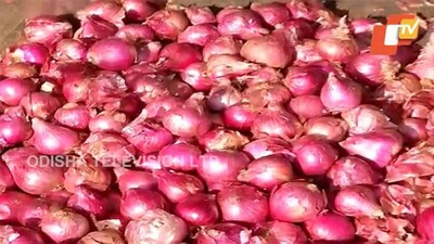 Onion