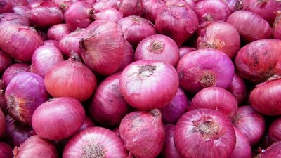 onion price Odisha