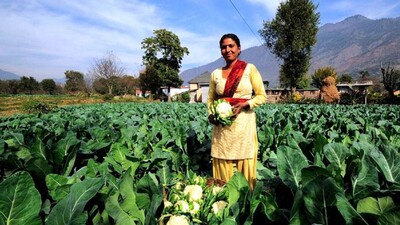 UP Banks On Organic Farming To Boost Farmer's Wealth