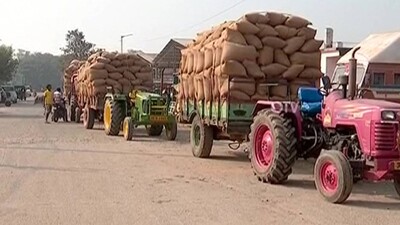 Paddy procurement irregularities in Odiaha