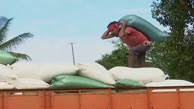 Paddy Procurement