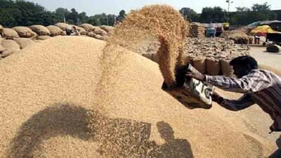 Paddy procurement