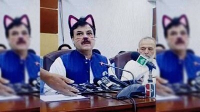 Pakistani-Minister-Cat-Filt