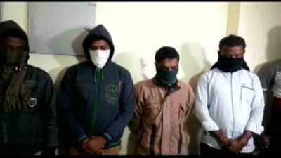 Pangolin-racket-arrest