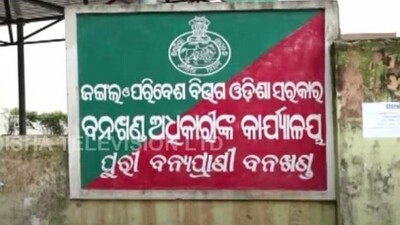 Puri-ACF-Arrested