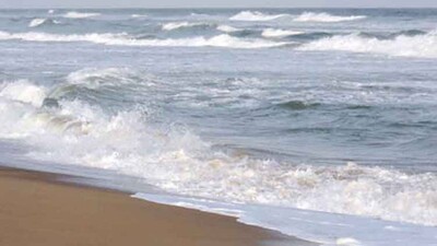 Puri-sea