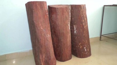 RED-SANDALWOOD