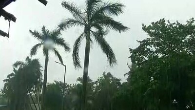 Rain-1