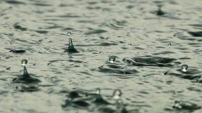 Rain-Droplets
