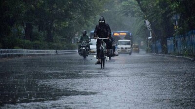 Rain