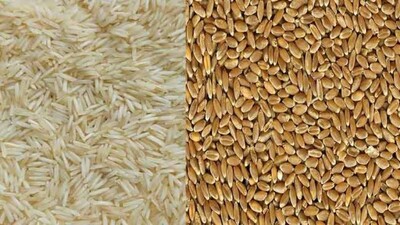 Rice-and-wheat