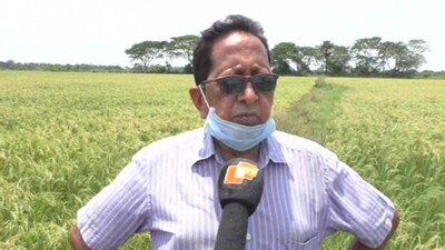 Jagatsinghpur