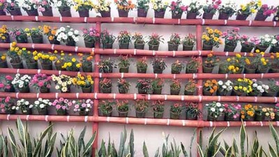 Rooftop-gardening