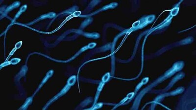 SPERM-CELLS