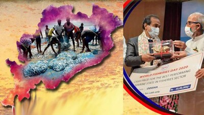 Odisha Best Marine State, UP Best Performer In Inland Fisheries
