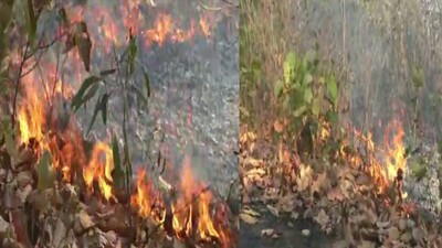 Similipal Wildfire