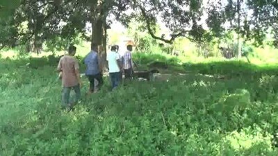 Sniffer-dog-thief-in-Odisha