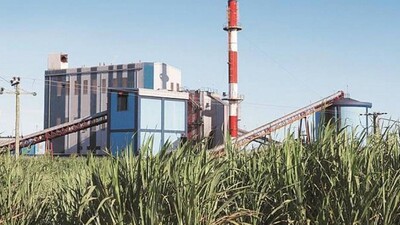 Centre's Focus On Ethanol Likely To Reduce Sugar Exports, Positive For Industry: Ind-Ra