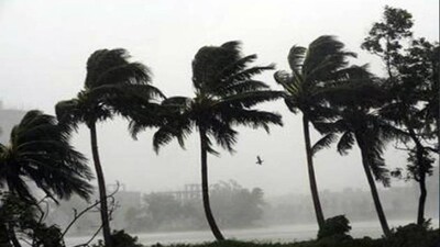 Ten-killed-in-Kolkata-storm