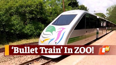 Toy Train