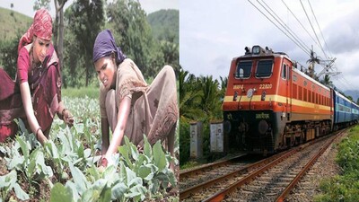 Centre Grants 50% Subsidy On Movement Of Notified Fruits, Vegetables Via 'Kisan Rail' Trains
