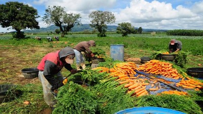 UN-agriculture-fund