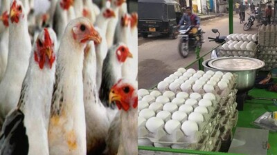 Bird Flu Odisha
