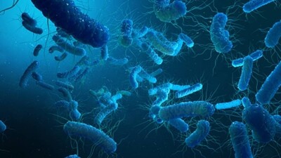 Virus