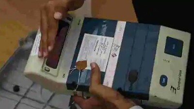 WB-polls