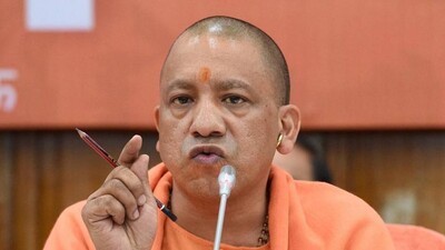 Yogi