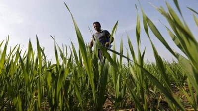 Agriculture