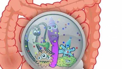 antibiotic-resistant