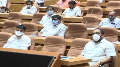 assembly-masks