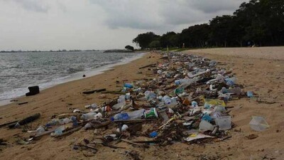 beach-pollution