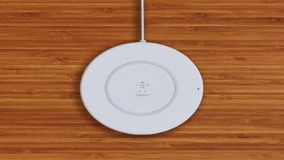 belkin