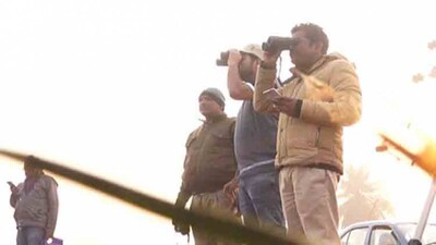 bird-count