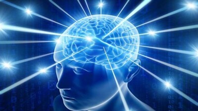 brain-1533482478