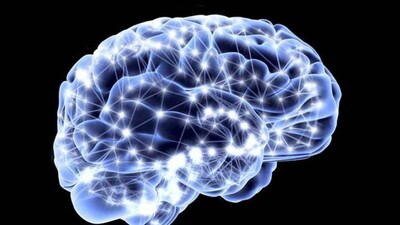 brain