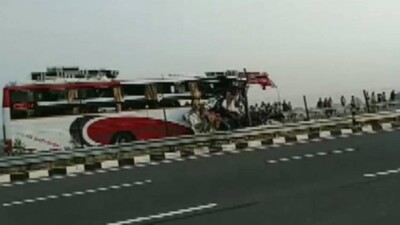 bus-mishja