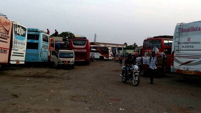 bus
