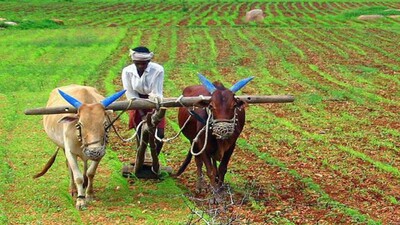 cag-report-on-farmers