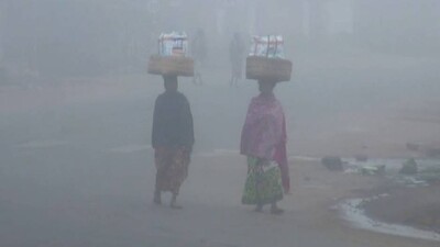 Severe Cold Wave In Odisha: Orange, Yellow Warnings Issued For Next 4 Days